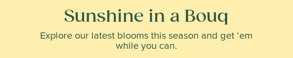 Sunshine in a Bouq.Explore our latest blooms this season and get ‘em while you can.
