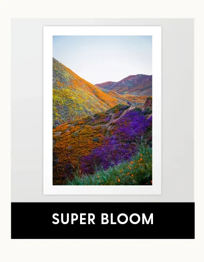 Shop Super Bloom Framed Art Prints