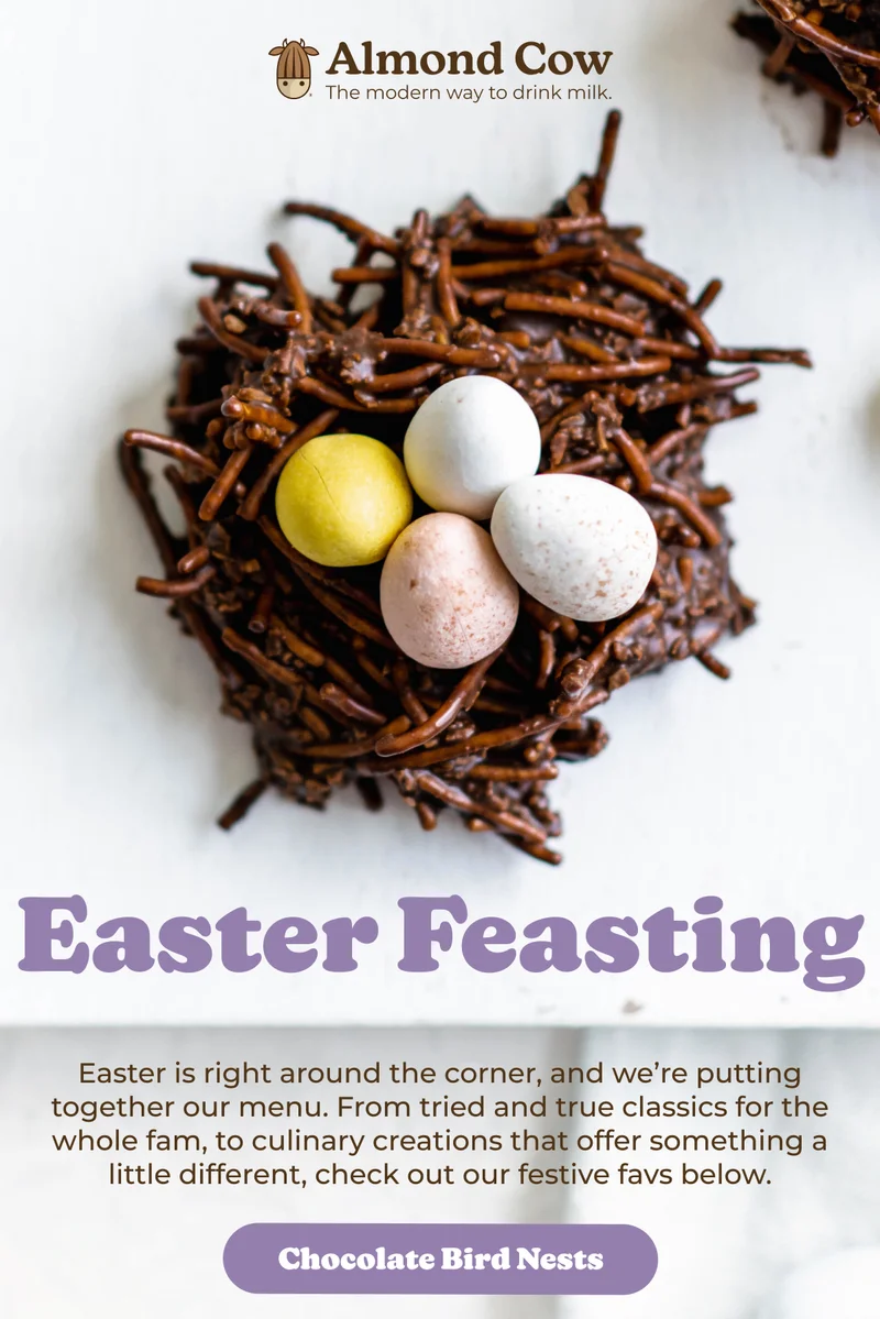 Chocolate Bird Nests recipe