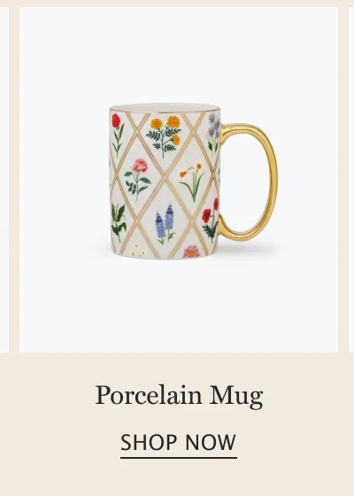 Porcelain Mug