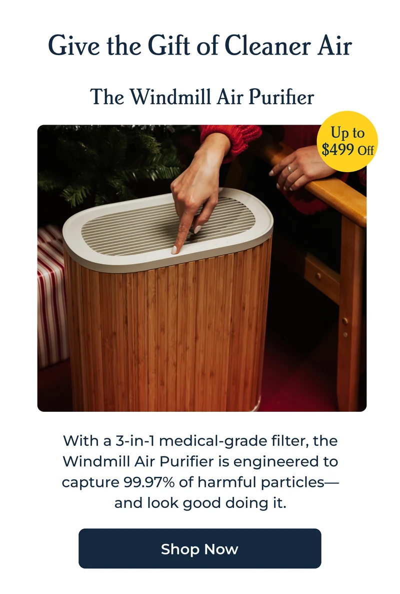 Give the Gift of Cleaner Air The Windmill Air Purifier