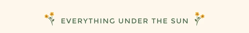 EVERYTHING UNDER THE SUN