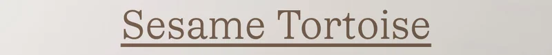 Sesame Tortoise