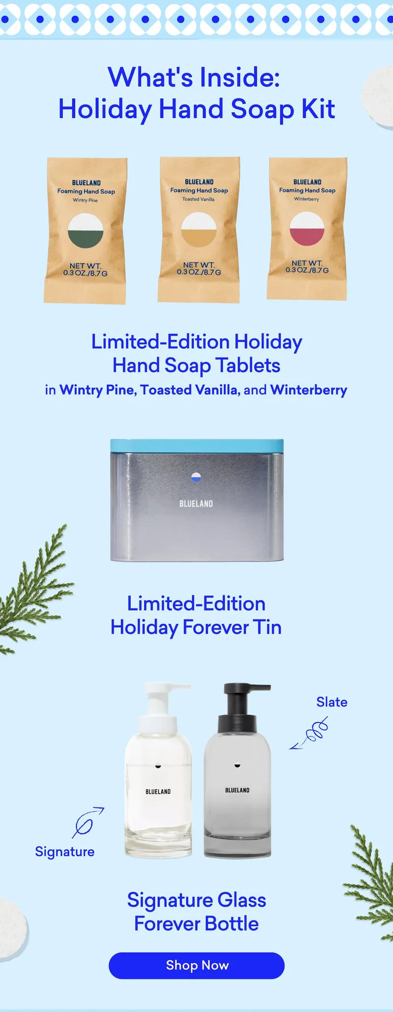 Check out our limited edition Holiday Hand Soap Kit!