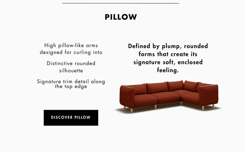 Discover Pillow