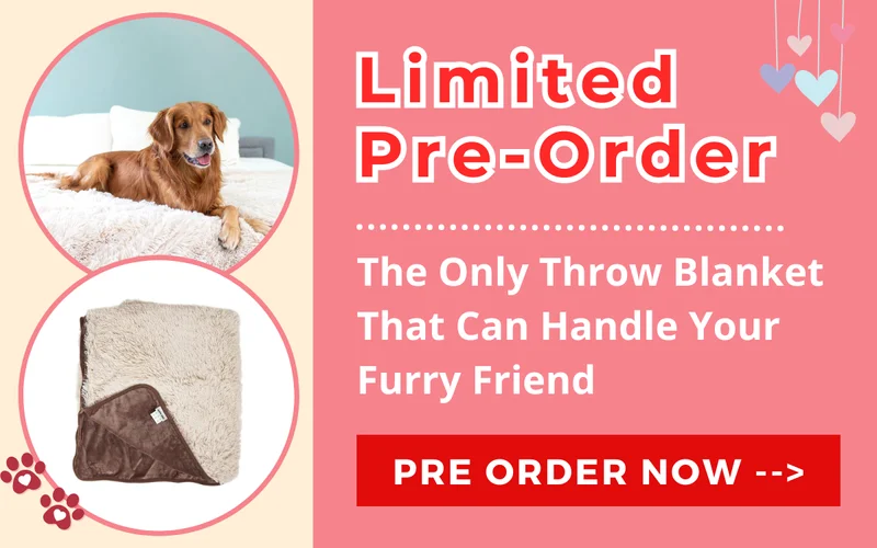 PawProof Blanket