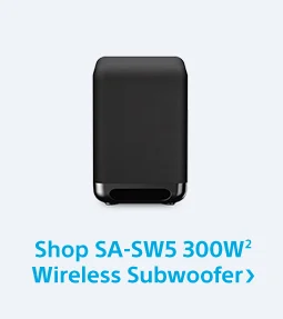 Shop SA-SW5 300W(2) Wireless Subwoofer