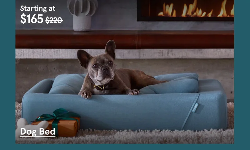 Dog Bed