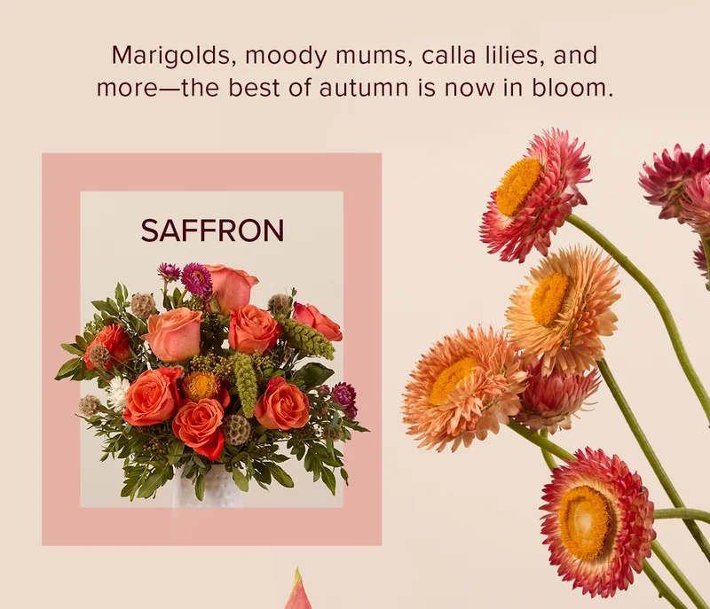 Featured Bouq: Saffron