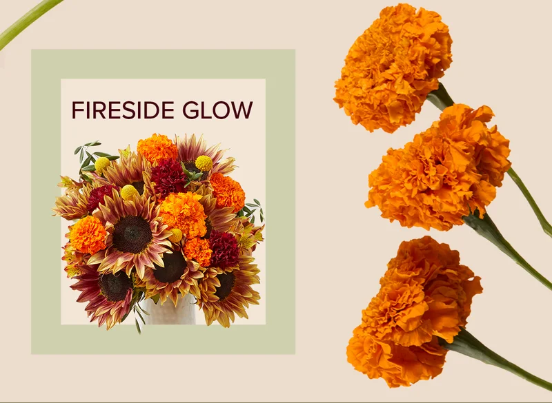 Featured Bouq: Fireside Glow