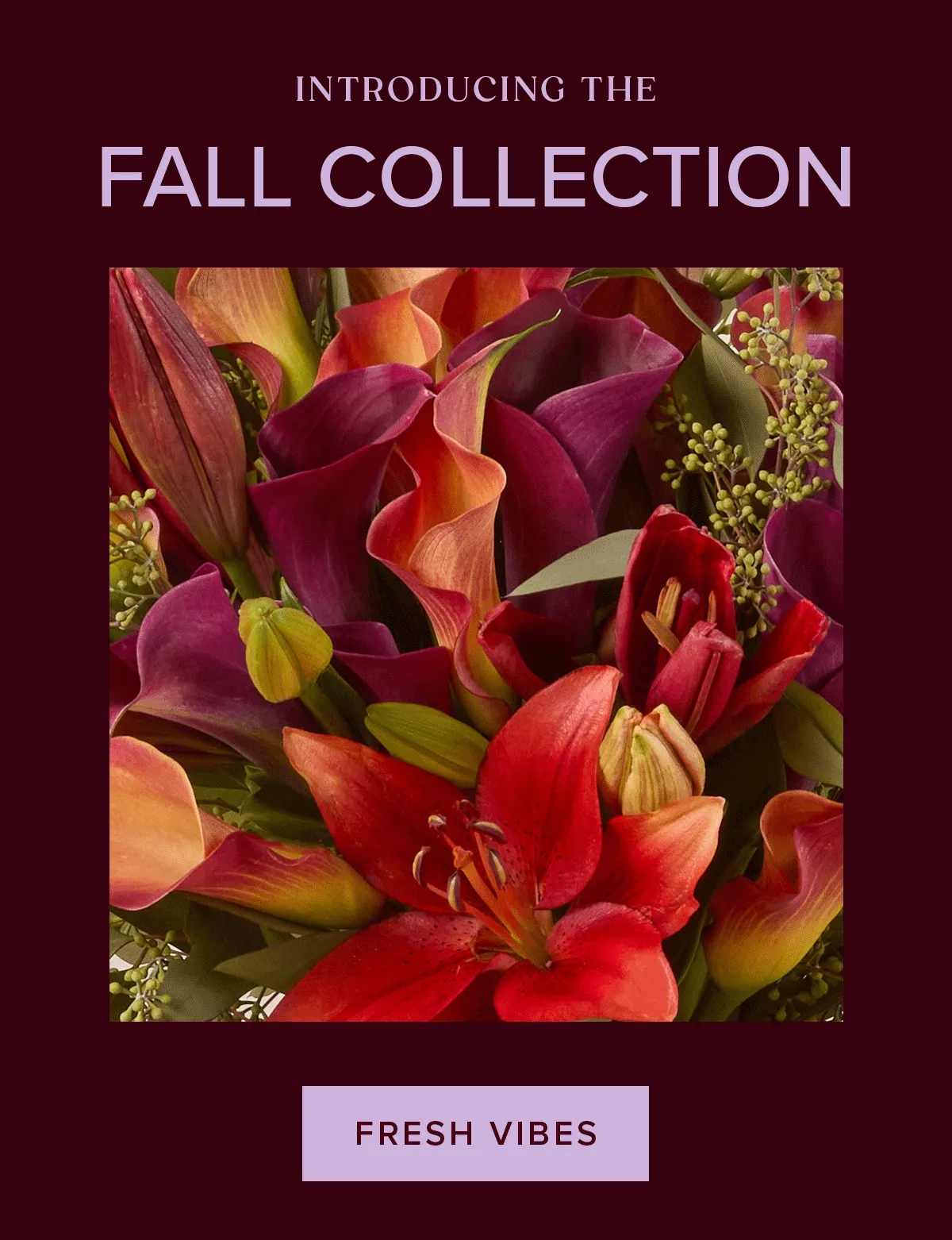 Introducing: The Fall Collection. Marigolds, moody mums, calla lilies, and more--the best of autumn is now in bloom. Fresh Vibes