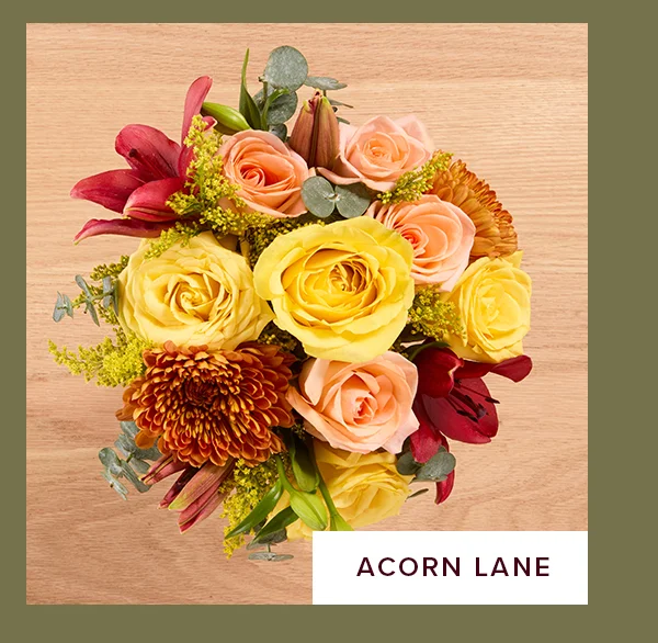 Featured Bouq: Acorn Lane