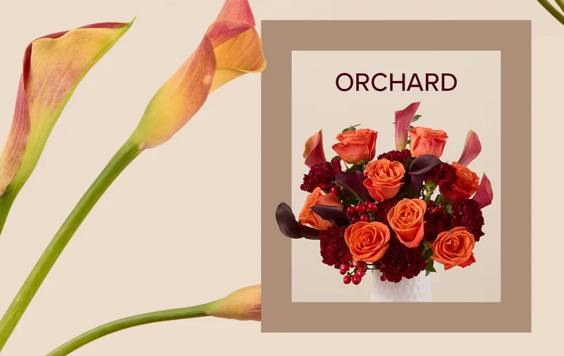 Featured Bouq: Orchard