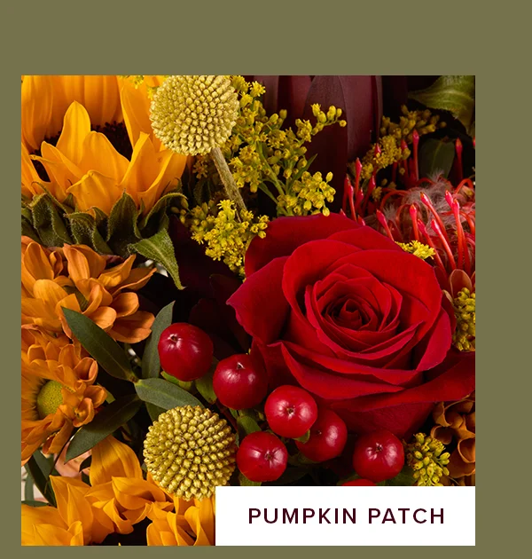 Featured Bouq: Pumpkin Patch