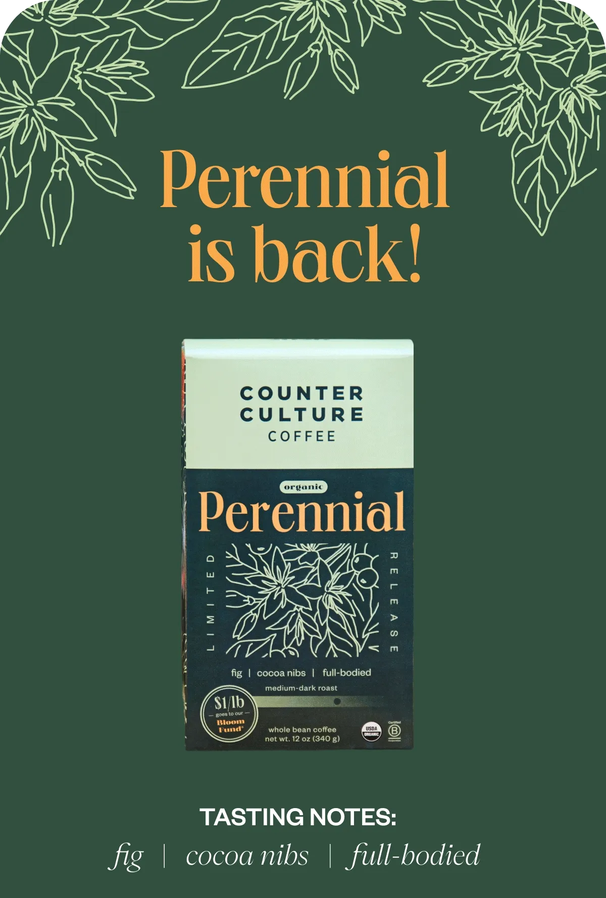 Perennial is back-fig cocoa nibs full-bodied