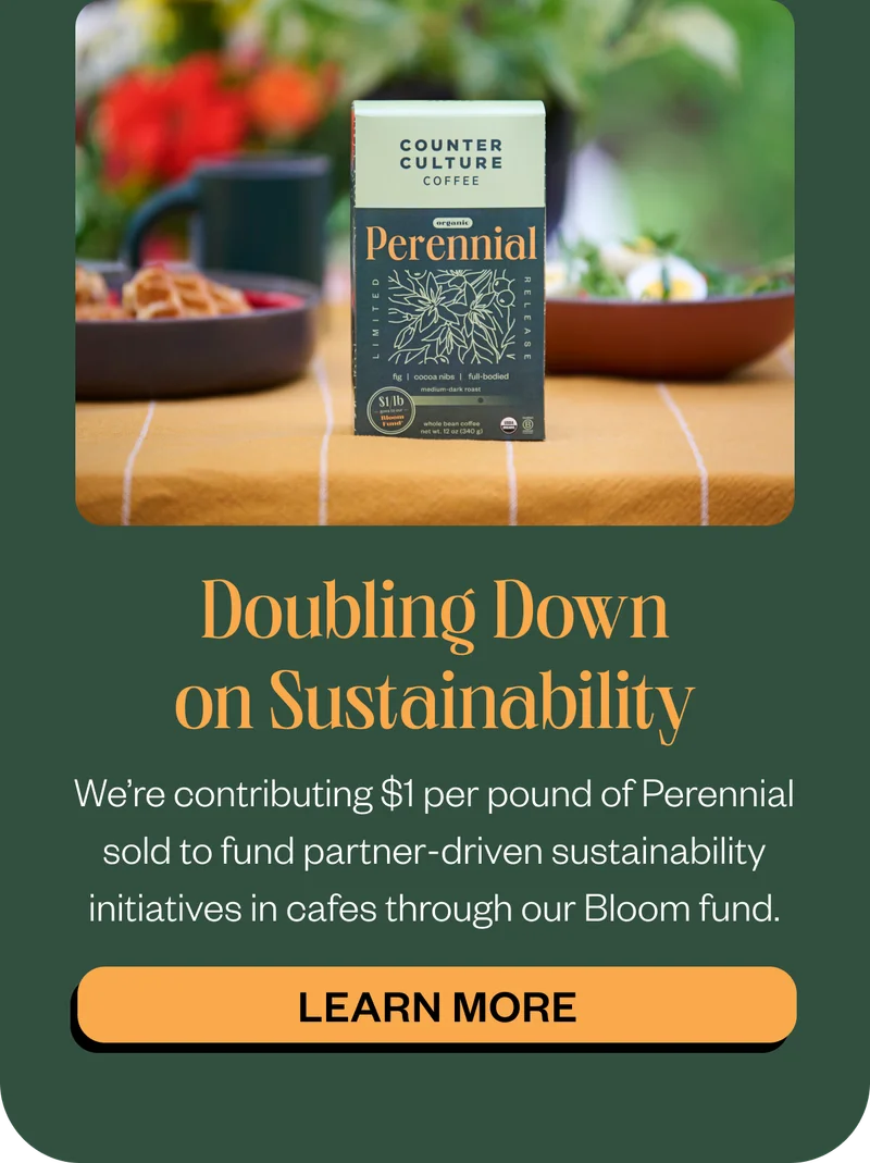 Doubling Down on Sustainability We’re contributing $1 per pound of Perennial sold to fund partner-driven sustainability initiatives in cafes through our Bloom fund. Learn More