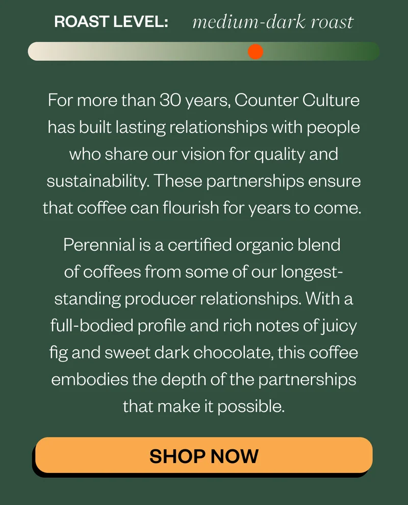 Medium-Dark Roast For more than 30 years, Counter Culture has built lasting relationships with people who share our vision for quality and sustainability. These partnerships ensure that coffee can flourish for years to come.   Perennial is a certified organic blend of coffees from some of our longest-standing producer relationships. With a full-bodied profile and rich notes of juicy fig and sweet dark chocolate, this coffee embodies the depth of the partnerships that make it possible. SHOP NOW