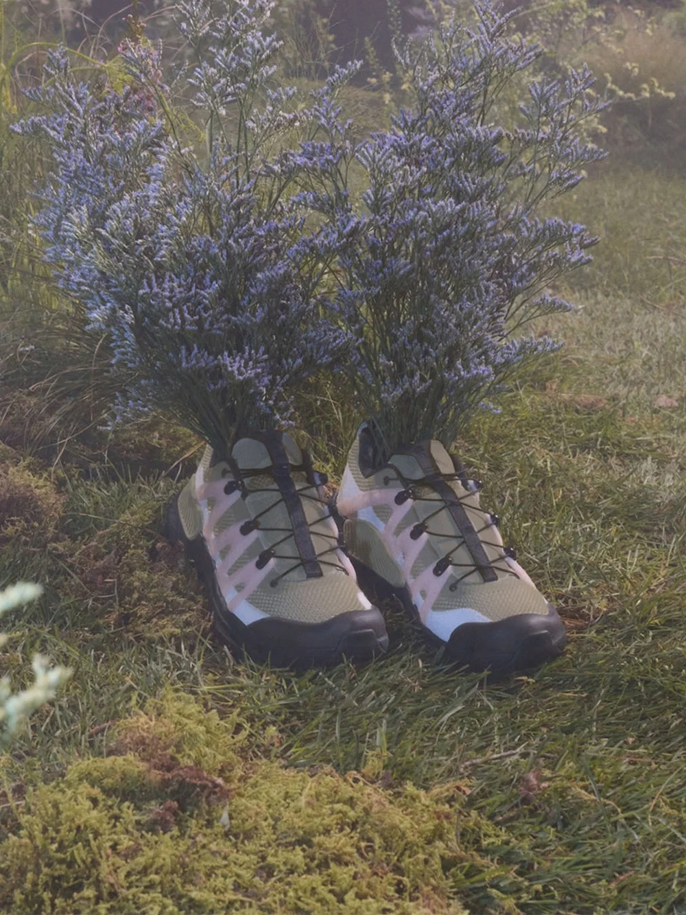 SALOMON