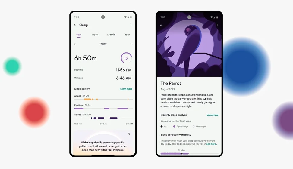 Two Pixel phones side by side. The first shows the Fitbit Sleep analysis opened with data like sleep timeline and Sleep Score visible. The second Pixel shows an image of a parrot with an explanation below as to why the parrot is what corresponds to the user’s sleep activity