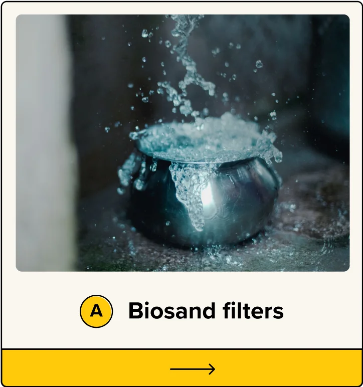 A. Biosand filters