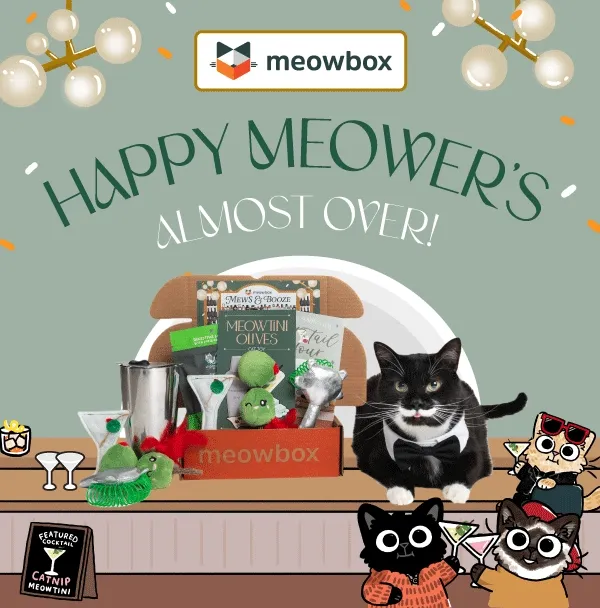 Happy Meow'ers almost over! Image of a black and white bartender cat in a bar setting with the Mews & Booze meowbox (featuring toys like the Meowtini Olives, Cat Tail Hour, Purr Me a Meowtini Catnip cat toys and more) with cocktail props in front.