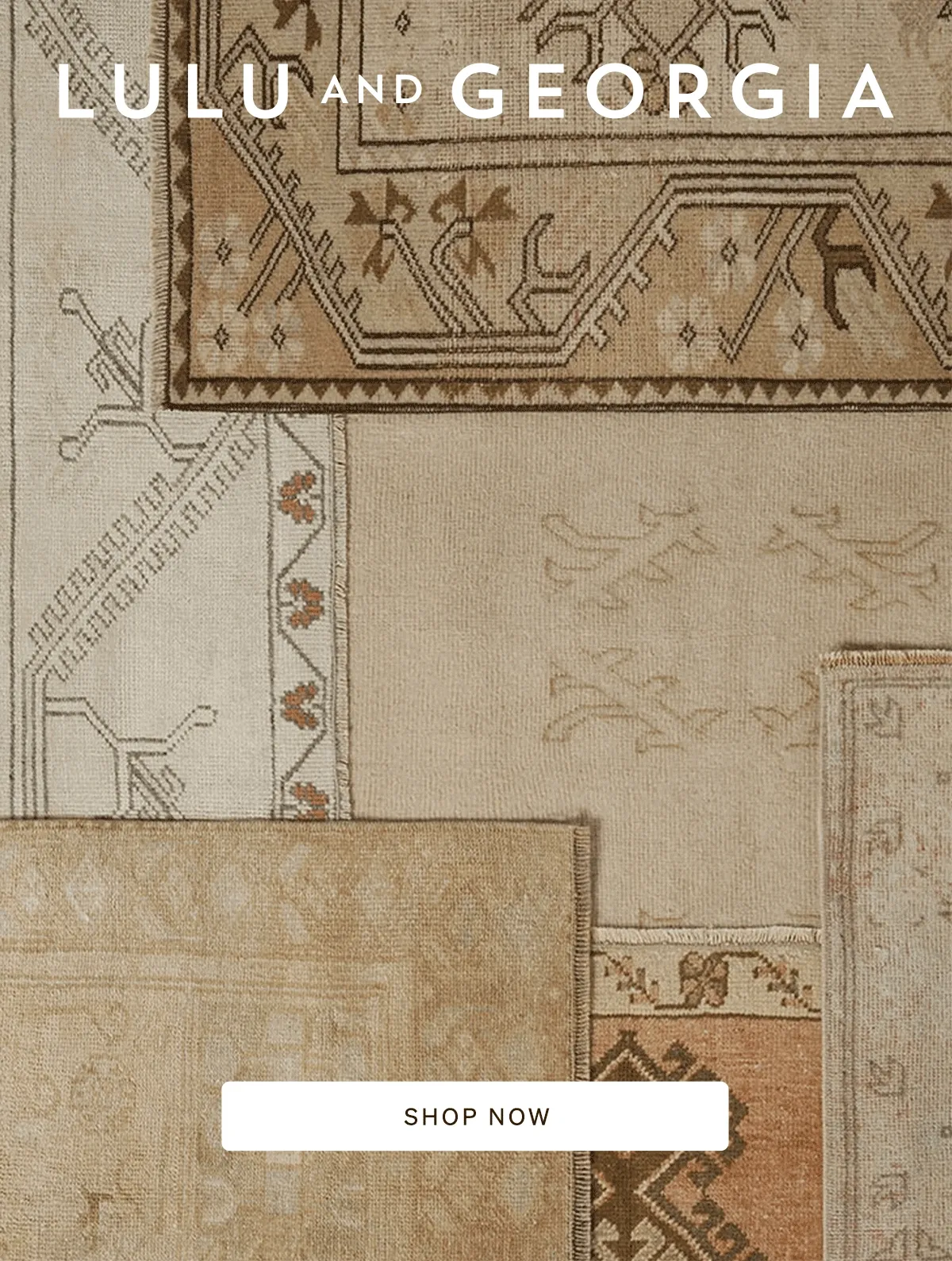 Shop Vintage Rugs