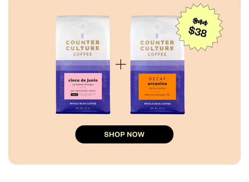 shop now shop now