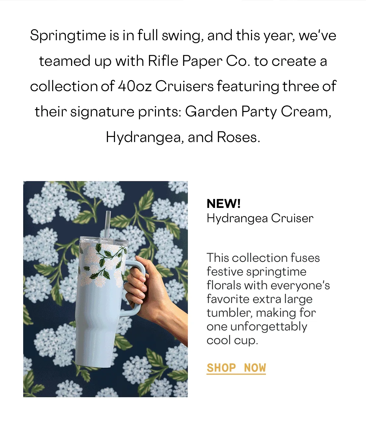 Shop New Rifle Cruisers