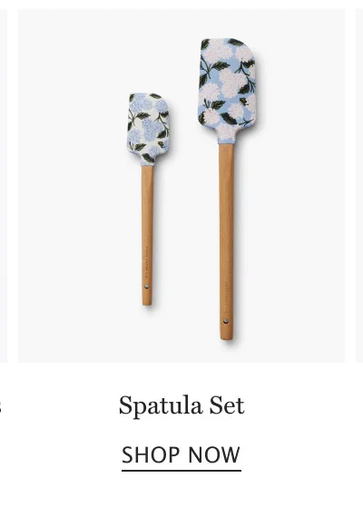 Spatula Set