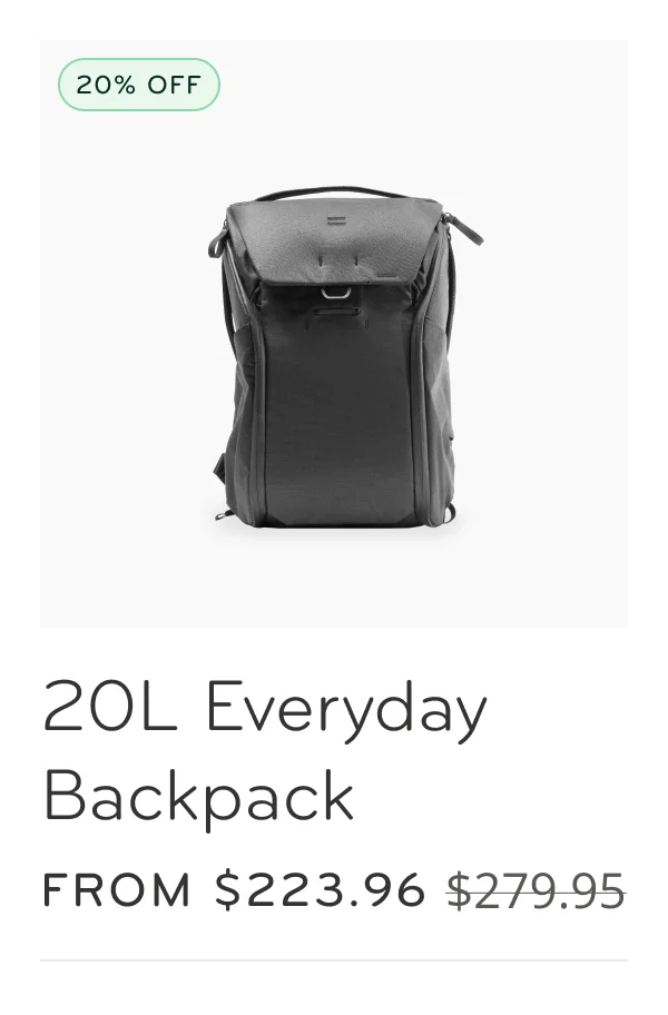 20L Everyday Backpack
