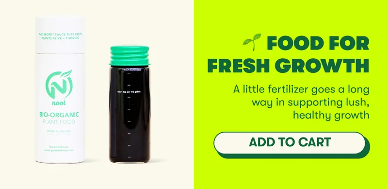 🌱 Food for Fresh Growth – A little fertilizer goes a long way in supporting lush, healthy growth [ADD TO CART]