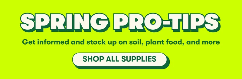 SPRING PRO-TIPS Get informed and stock up on soil, plant food, and more  [SHOP ALL  SUPPLIES]