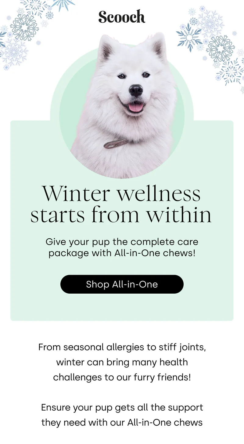 Give your pup the complete care package with All-in-One chews!