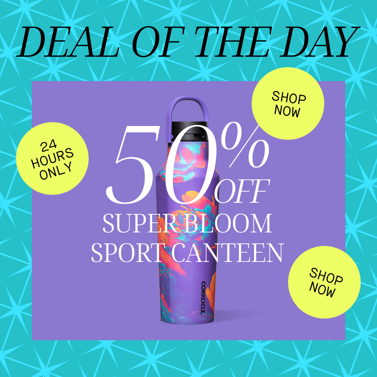 24 hours only! Deal of the day 50% off!