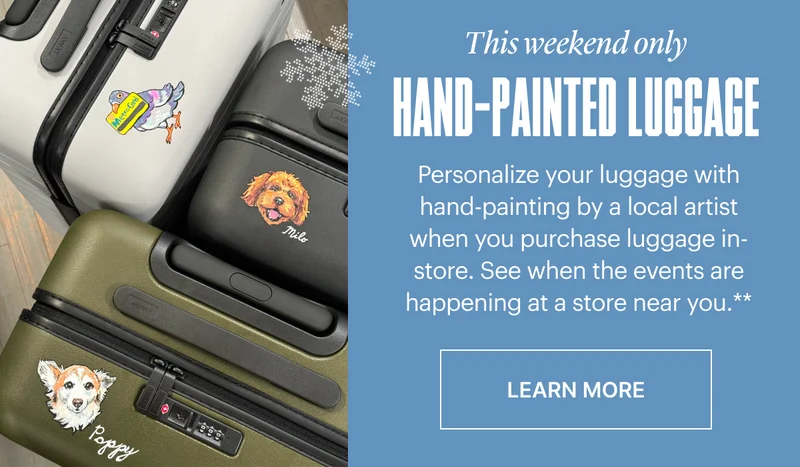 Hand-Painted Luggage