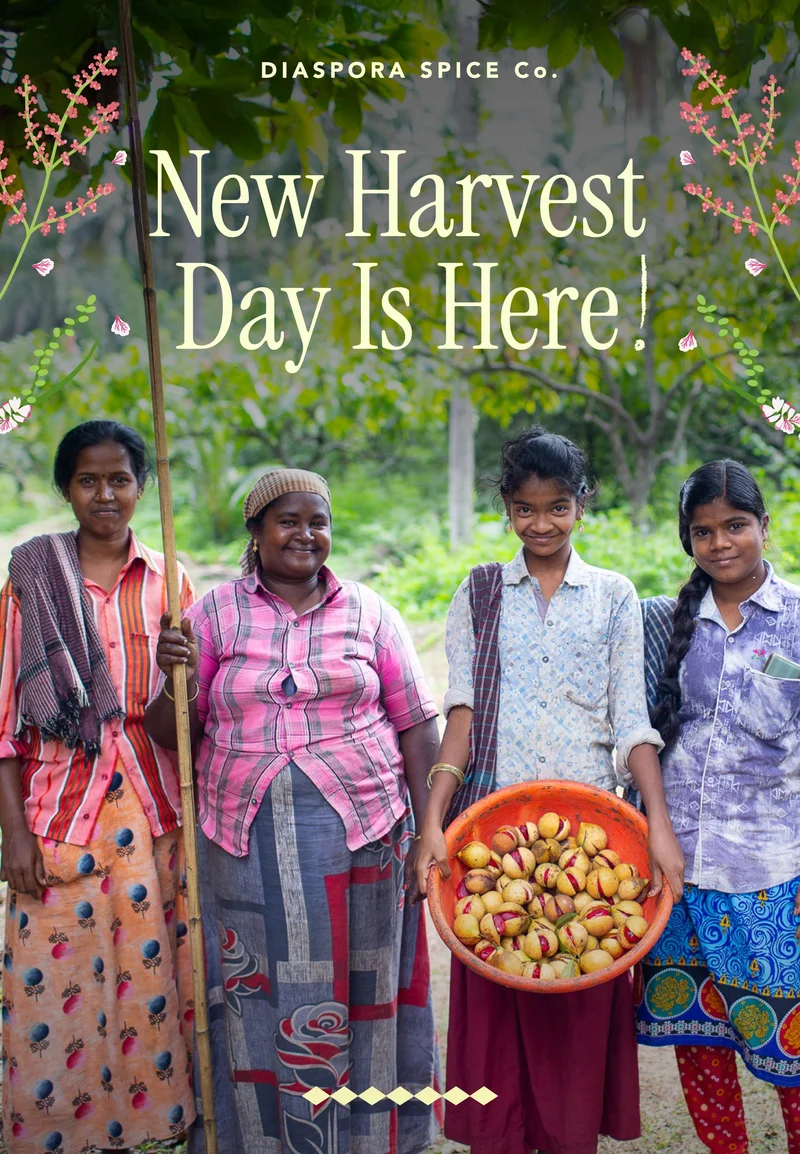 New Harvest Day is Here!