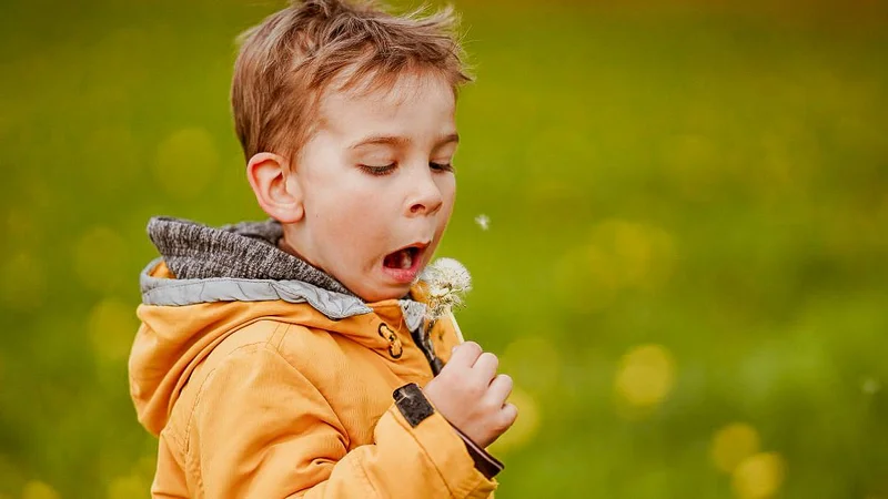 13 Products That Banish Seasonal Allergies From Your Home