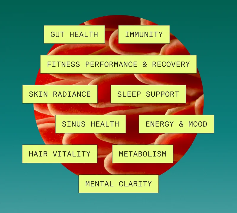 GUT HEALTH IMMUNITY FITNESS PERFORMANCE & RECOVERY SKIN RADIANCE SLEEP SUPPORT SINUS HEALTH ENERGY & MOOD HAIR VITALITY METABOLISM MENTAL CLARITY