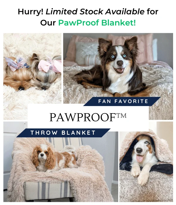 PawProof Blanket