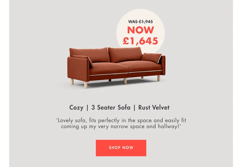 Cozy | 3 Seater | Rust Velvet
