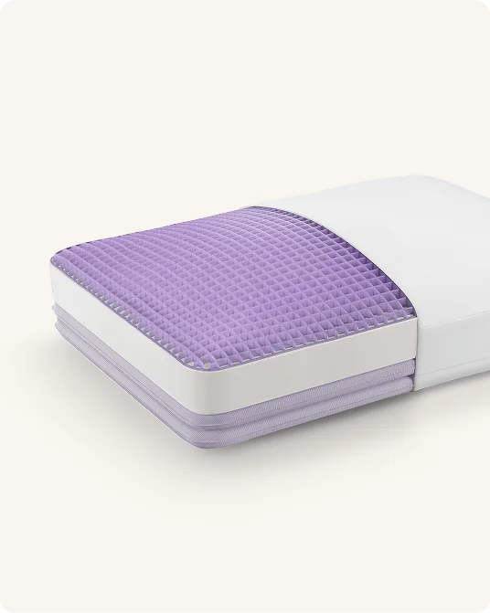 DreamLayer<sup style='font-weight:normal;font-size:70%;line-height:1px;'>®</sup> Pillow