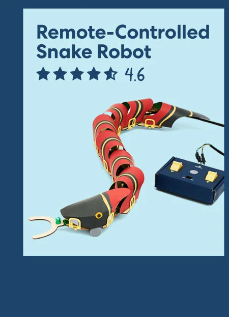 Remote-Controlled Snake Robot