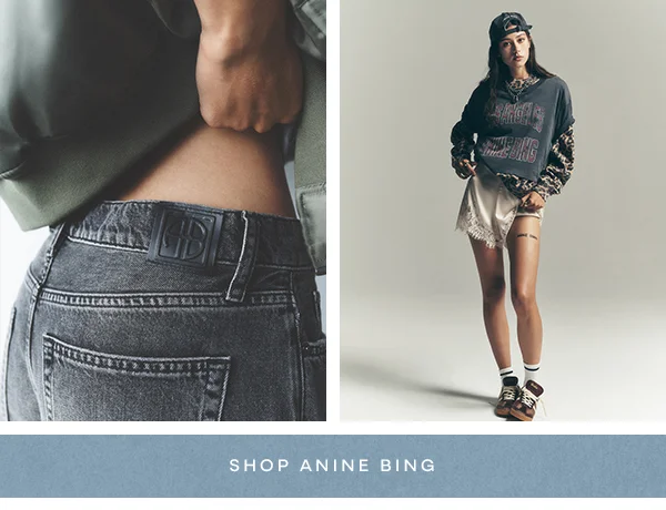shop anine bing