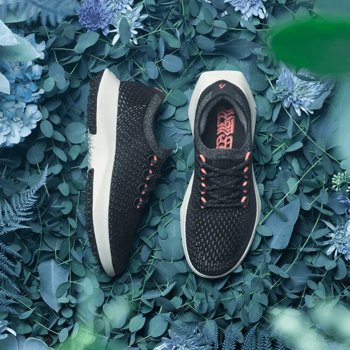 Allbirds