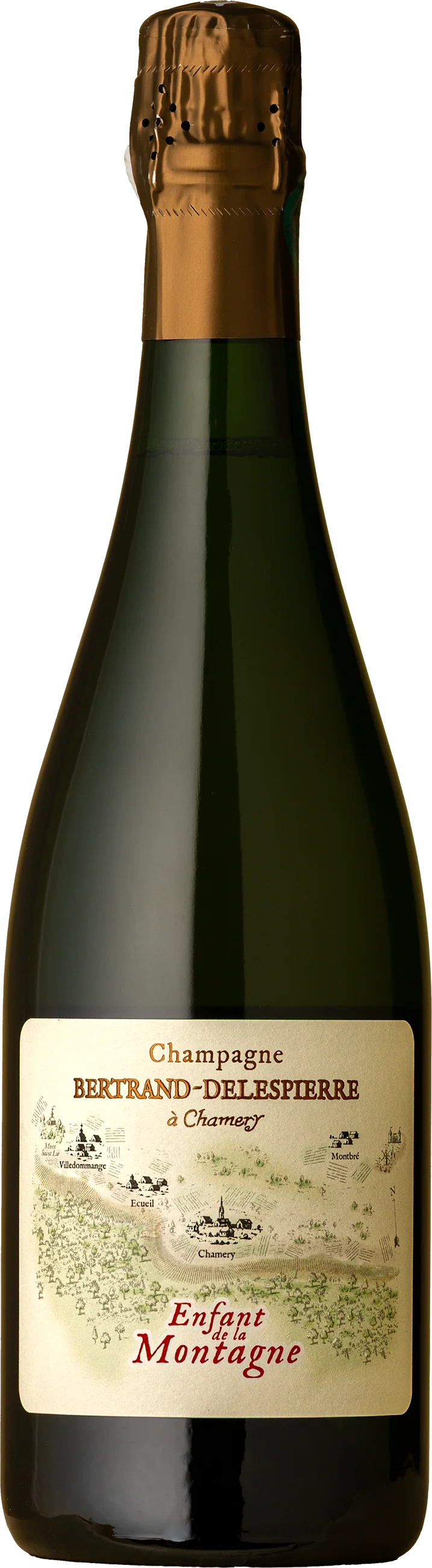 Image of Bertrand Delespierre <br> Enfant de la Montagne Champagne Brut NV
