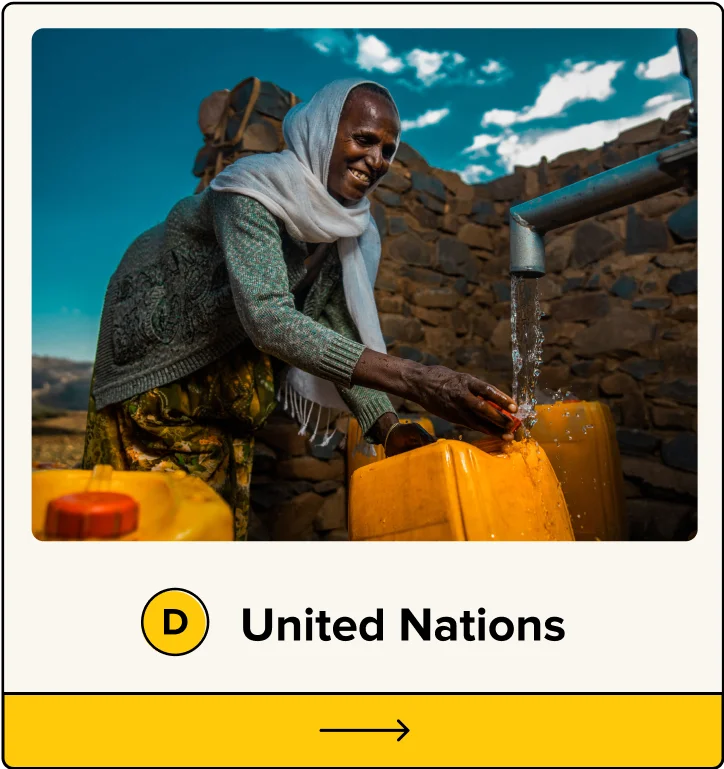 D. United Nations