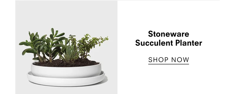 Stoneware Succulent Planter