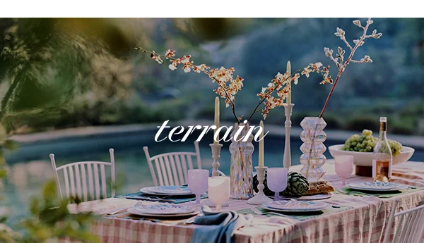 Terrain