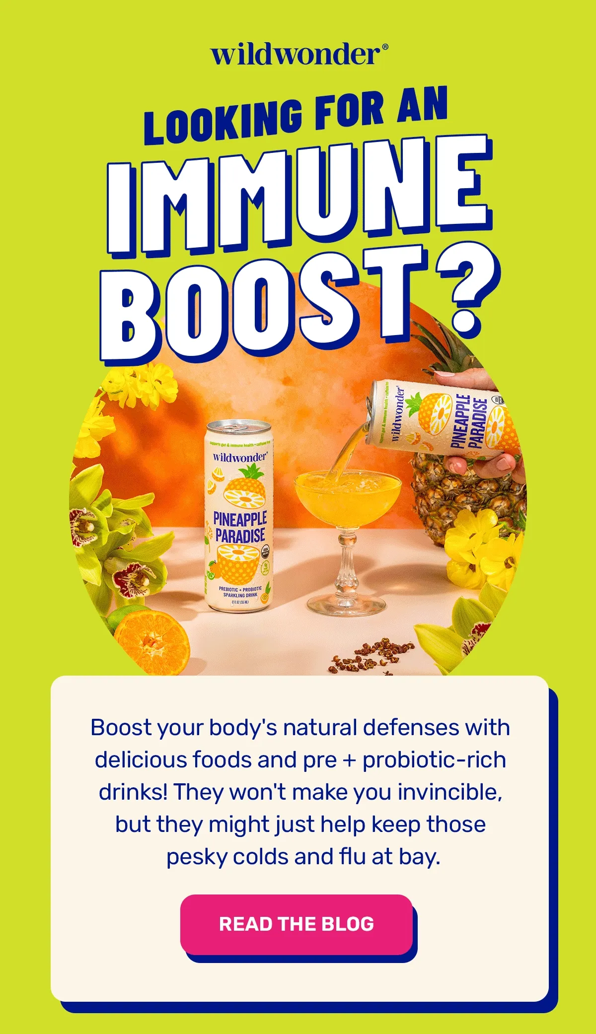 Looking for an immune boost?