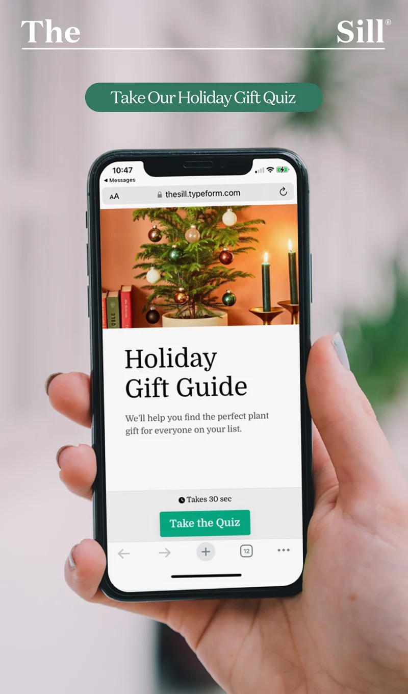 We'll help you find the perfect plant gift for everyone on your list! Take our super quick holiday gift quiz.